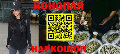 трава Пугачёв