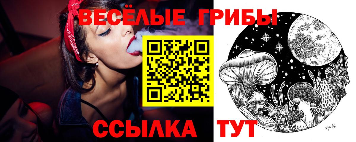 сколько стоит  Вход с VPN  Спасск-Дальний  Псилоцибиновые грибы Cubensis 