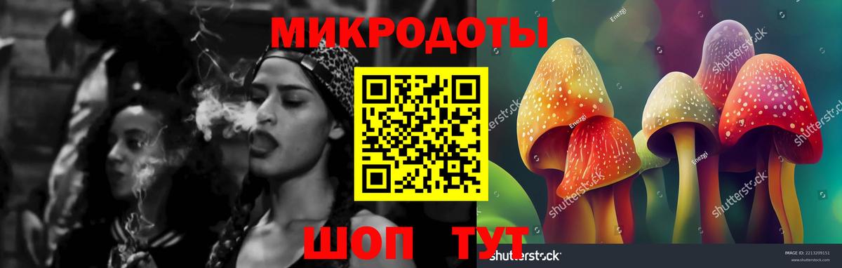 Псилоцибиновые грибы прущие грибы Спасск-Дальний